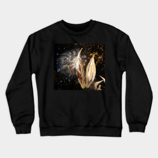 Seed pods for next year - Nature self planting - gift for nature lover Crewneck Sweatshirt